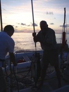 BlueFinTuna